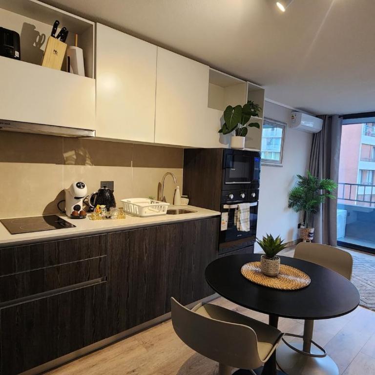 Elegante depto Santiago Centro Club Hípico - Superior One-Bedroom Apartment - 1