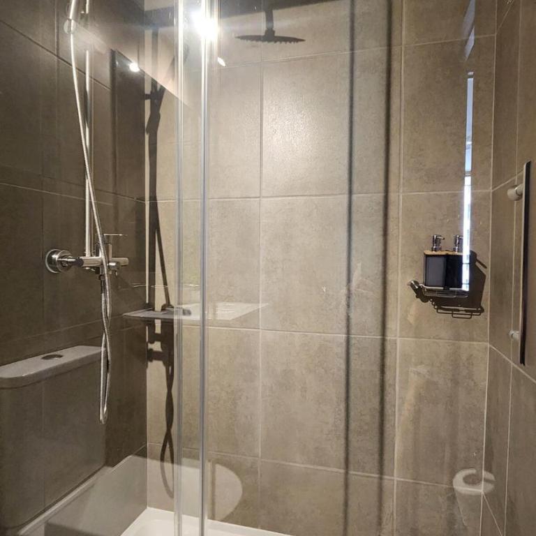 Elegante depto Santiago Centro Club Hípico - Superior One-Bedroom Apartment - 27