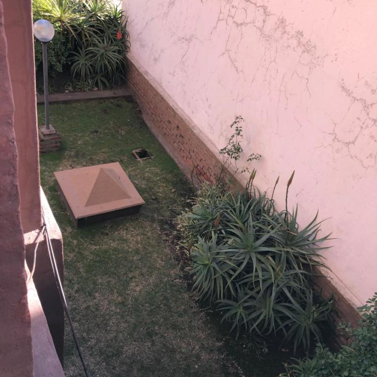 Las Lomitas - One-Bedroom Apartment - 3