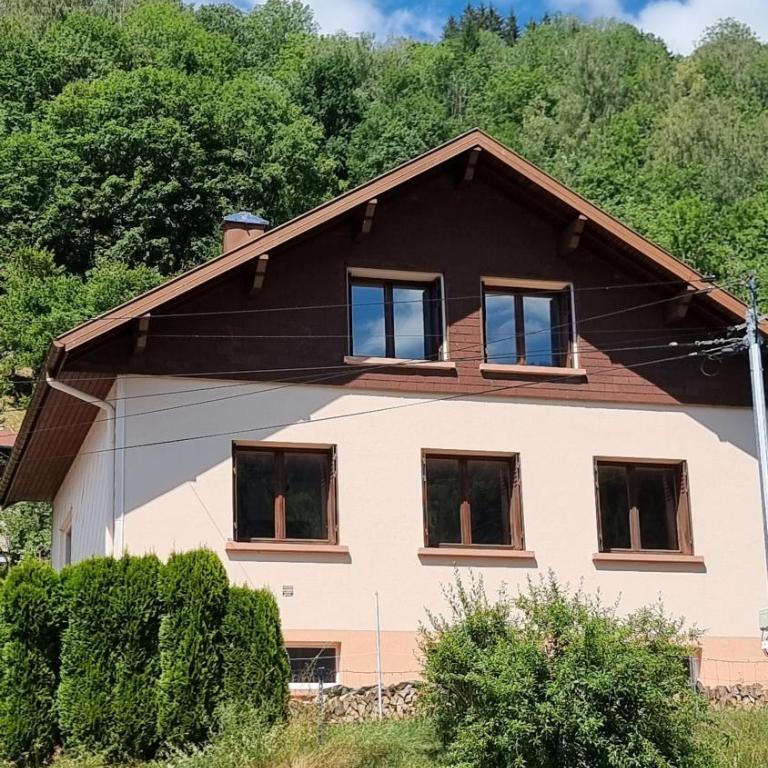 Maison 3 étoiles entre Pistes et Centre-Ville, Billiard, Ping-Pong, PS3, Cheminée, BBQ, Animaux admis - Four-Bedroom House - 12