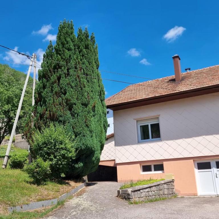 Maison 3 étoiles entre Pistes et Centre-Ville, Billiard, Ping-Pong, PS3, Cheminée, BBQ, Animaux admis - Four-Bedroom House - 10