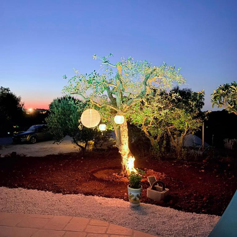 Apulia Trulli Macco Macco Locorotondo - Casa con 2 Camere da Letto - 20