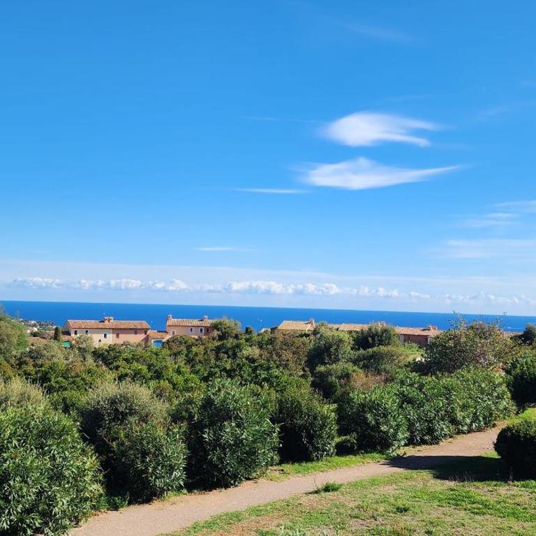 Appartement familial avec vue mer et piscine - Appartement - 11