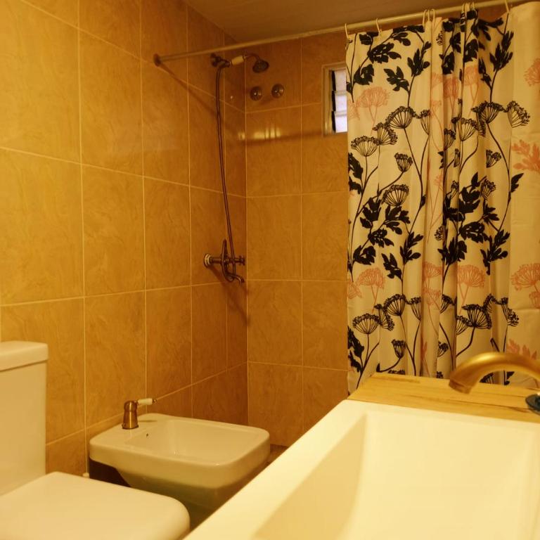 Aparts Tatiana Merlo San Luis - Habitación Doble - 1 o 2 camas - 7