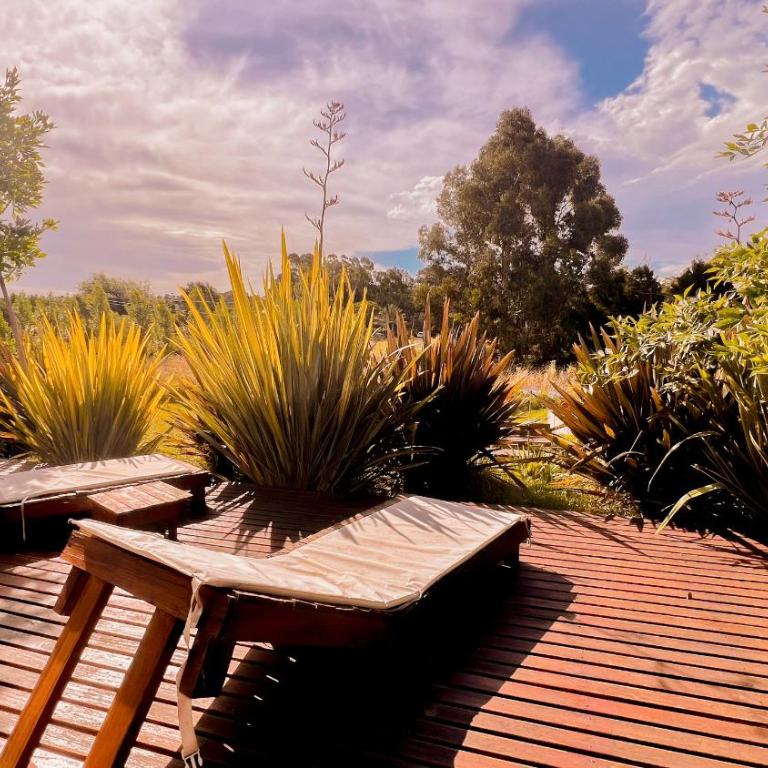 Domo 4 - Glamping para 2 PAX con pile y parrilla en Cruz del Sur, Chapadmalal - Hola Sur - Casa con 1 dormitorio - 21