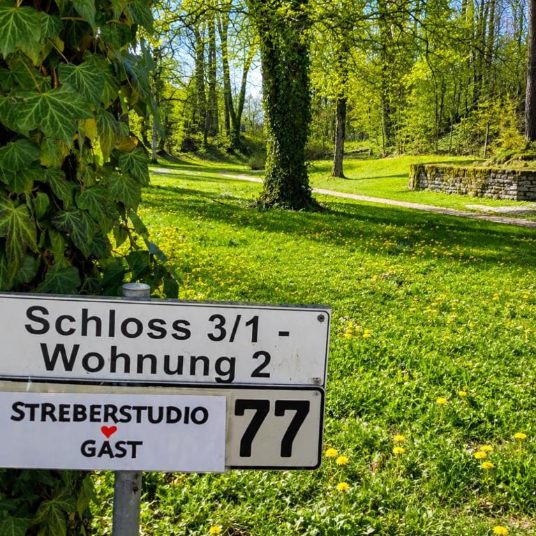 SchlossNest Isny - Denkmal Kultur Park Stadt - Apartamento de 2 dormitorios con vistas a la ciudad - 40