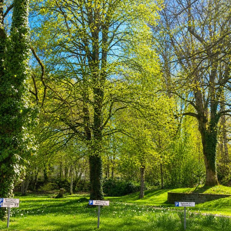 SchlossNest Isny - Denkmal Kultur Park Stadt - Apartamento de 2 dormitorios con vistas a la ciudad - 41