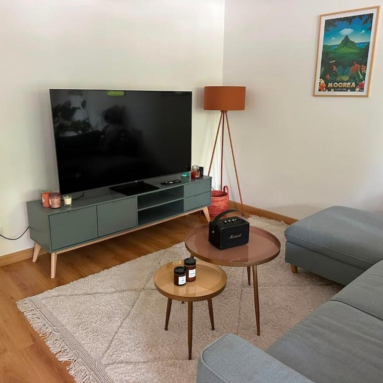 Bel appart 71m2 avec 2 terrasses Soleil à Vannes - Two-Bedroom Apartment - 2