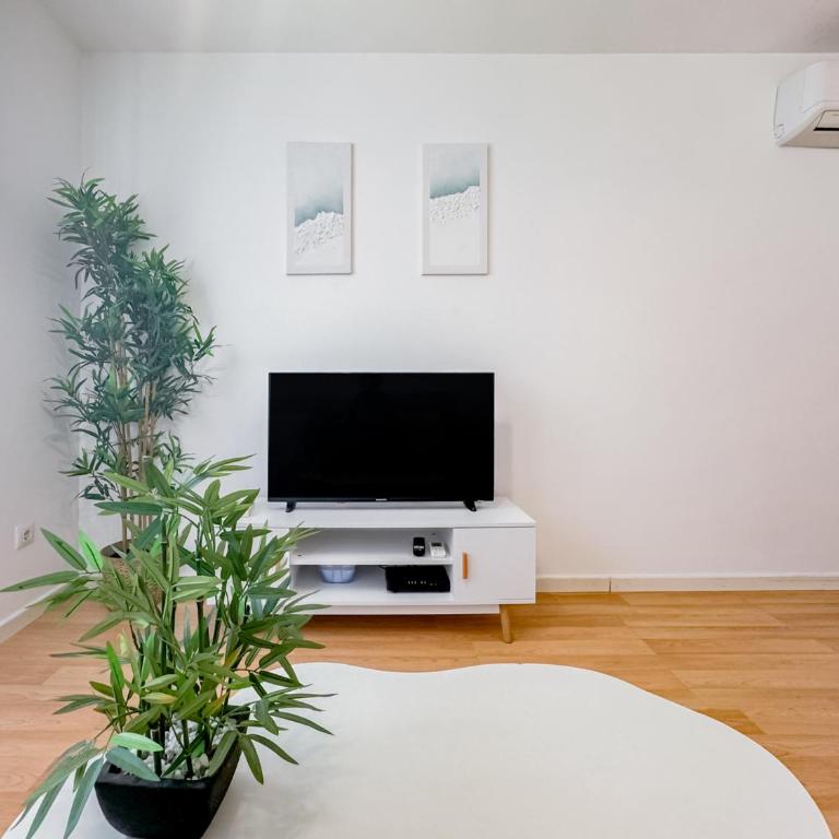 Pedregalejo Beach Apartments by Stay Belonio - Appartement 1 Chambre - 4