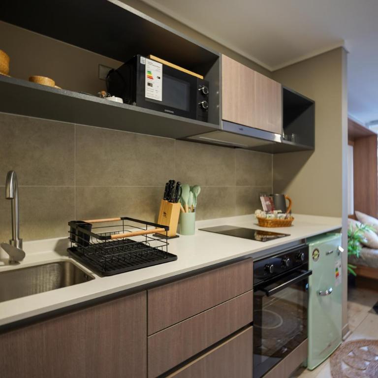 Oceana Suites Refugio Santa Lucia - Apartamento de 1 dormitorio con vistas - 12