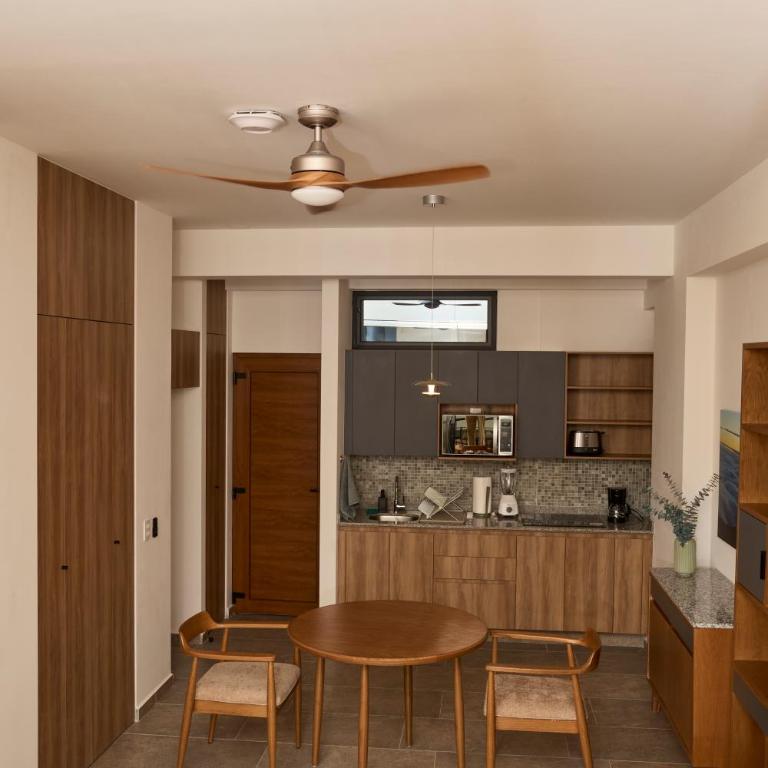 Departamento amueblado con todos los servicios en la colonia americana - Apartment mit 1 Schlafzimmer - 9