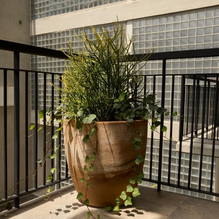 Departamento amueblado con todos los servicios en la colonia americana - Apartment mit 1 Schlafzimmer - 14