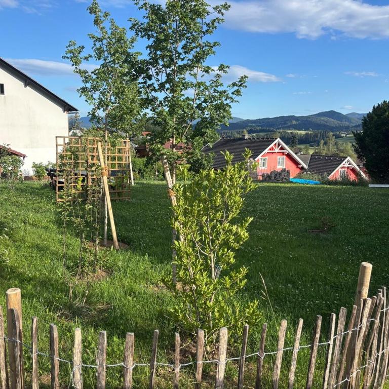 Idyllische Urlaubswohnung - Hausetage - mit Garten und Terrasse - Apartment mit 3 Schlafzimmern - 16