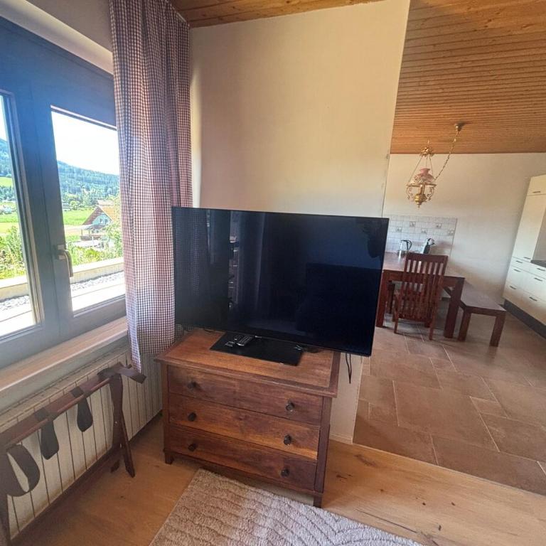 Idyllische Urlaubswohnung - Hausetage - mit Garten und Terrasse - Apartment mit 3 Schlafzimmern - 4