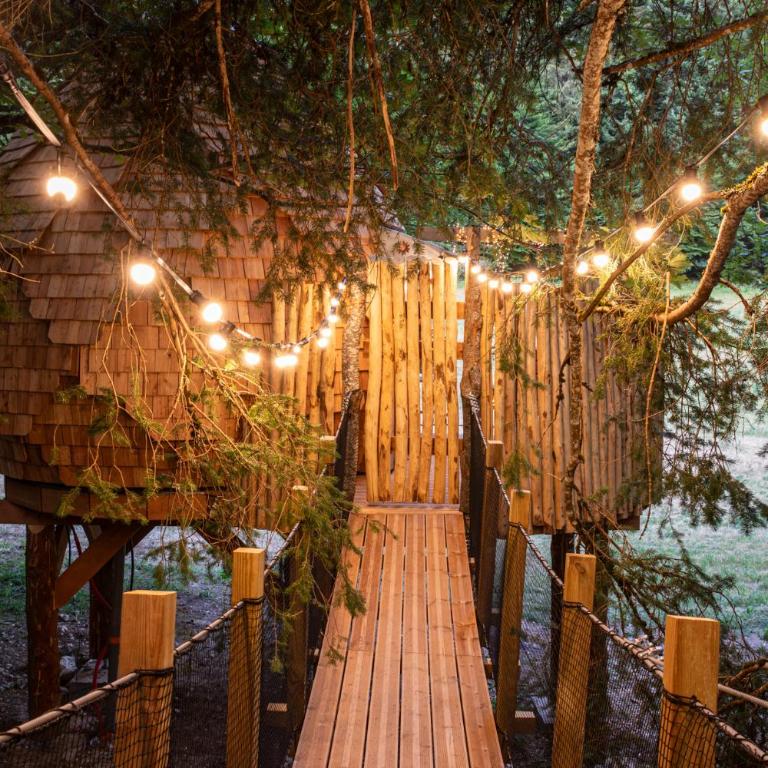 La Pomme de Pin Perchée, cabane romantique pour 2 - Appartement avec Douche - 3