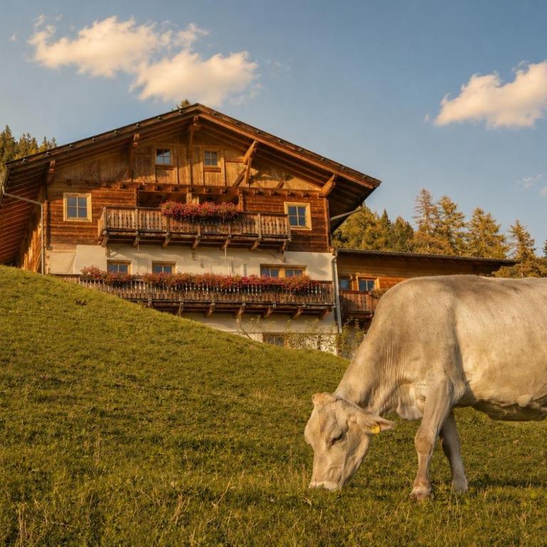 Innerdurachhof - Appartamento Superior con 1 Camera da Letto e Balcone - 2
