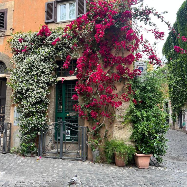 Domus31 - Luxury House in Trastevere - One-Bedroom Apartment - 81