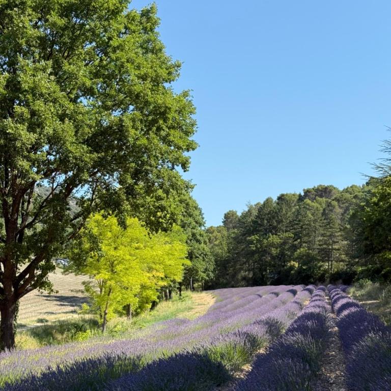 Villa Bleue Provence - Villa 3 Chambres - 30