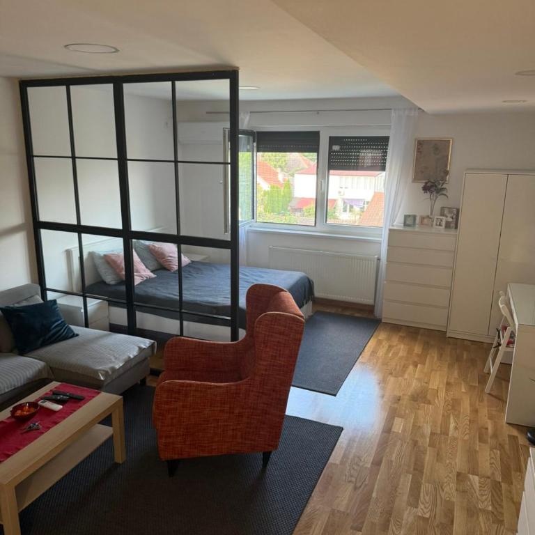 Petica Apartment with Free Parking Near Center - Apartman sa 1 Spavaćom Sobom - 3