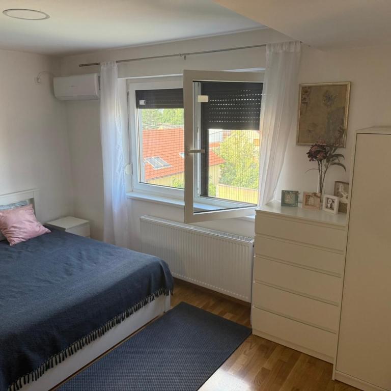 Petica Apartment with Free Parking Near Center - Apartman sa 1 Spavaćom Sobom - 4
