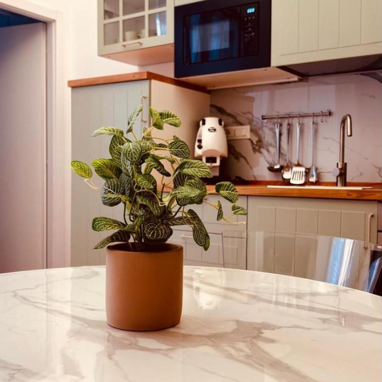 Urban Garden - Apartment mit 2 Schlafzimmern - 16