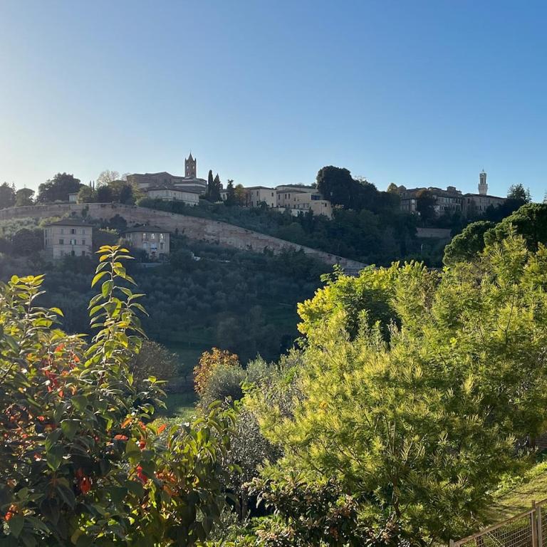 Serenità a due passi dal centro - Appartamento con 3 Camere da Letto - 1