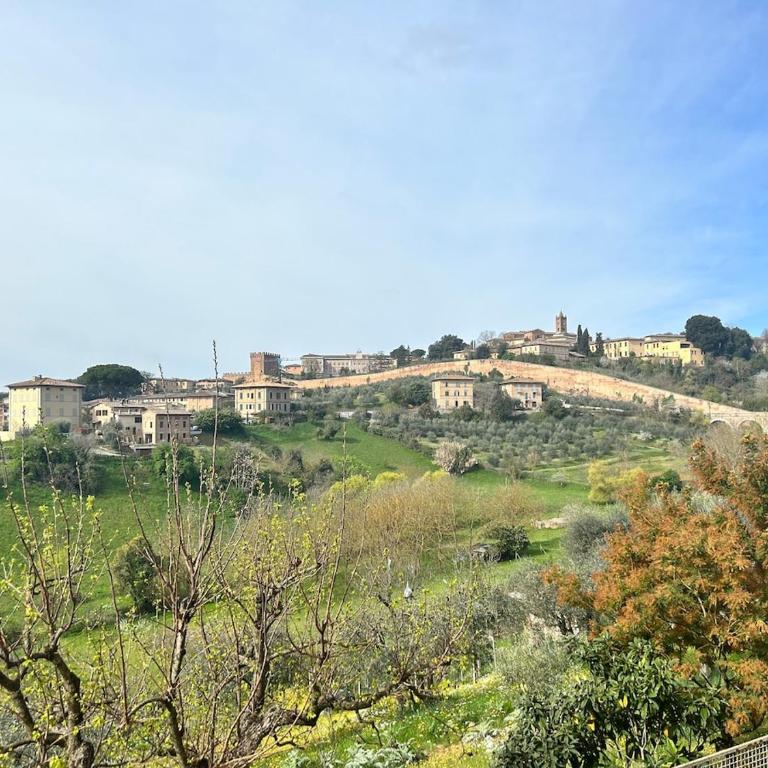 Serenità a due passi dal centro - Appartamento con 3 Camere da Letto - 22