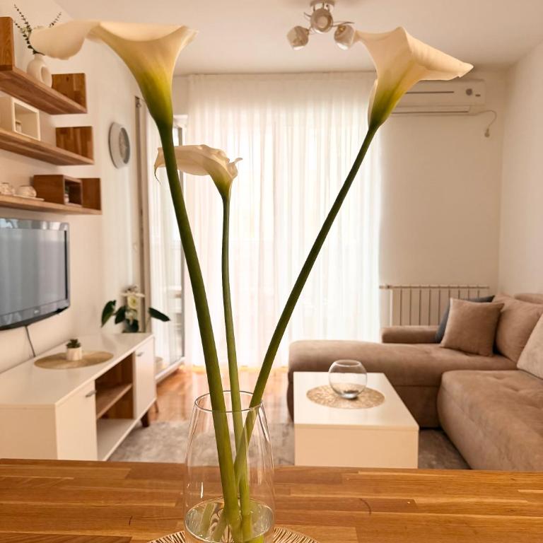 Bright & Cozy Apartment, 5 Min From Airport - Apartman sa 1 Spavaćom Sobom - 14