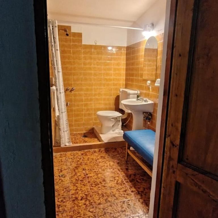 Amplio Loft Céntrico en San Rafael - Apartamento de 2 dormitorios - 6