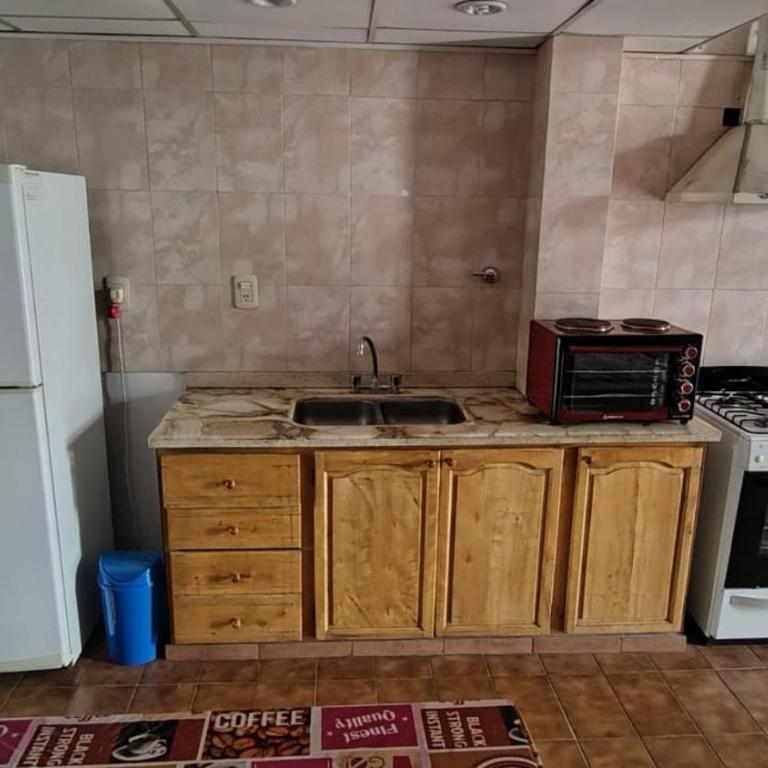 Amplio Loft Céntrico en San Rafael - Apartamento de 2 dormitorios - 4
