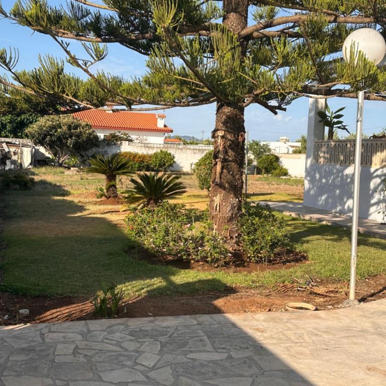 Villa Anna - Villa - 46