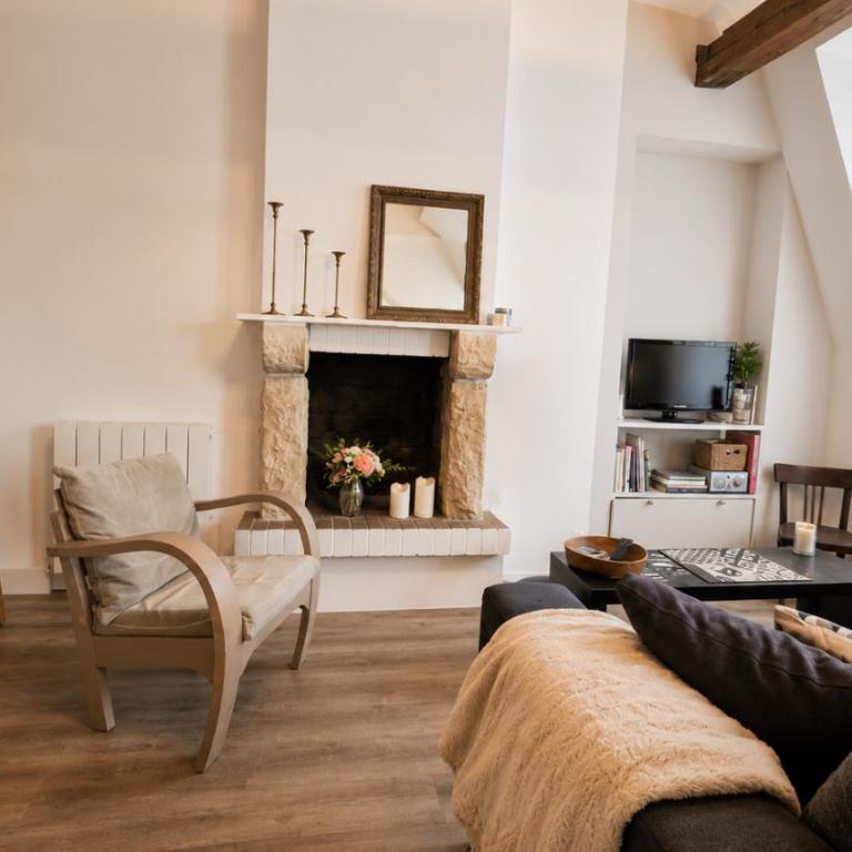 Bâtiment historique le long du canal du Thiou - zone piétonne au calme - Historic building along Thiou Canal - One-Bedroom Apartment (2 Adults) - 4