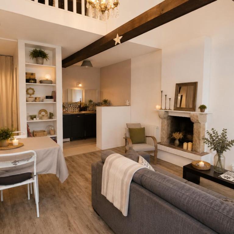 Bâtiment historique le long du canal du Thiou - zone piétonne au calme - Historic building along Thiou Canal - One-Bedroom Apartment (2 Adults) - 1