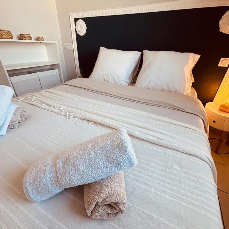 charmant appartement en rez de jardin avec parking - Apartment mit 1 Schlafzimmer - 19