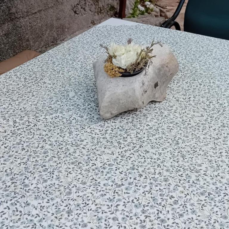 Apartman Zoka - Apartman sa 1 Spavaćom Sobom - 2