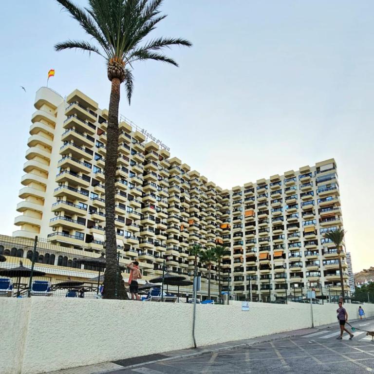 Estudio frente al mar en Aloha Playa, Benalmádena - Apartment mit 1 Schlafzimmer - 4