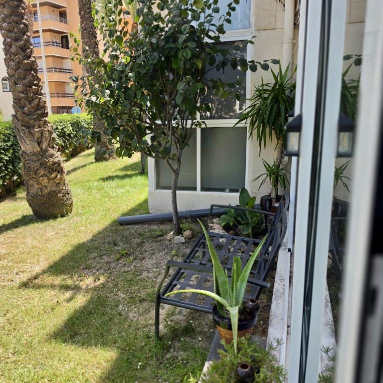 SeaView Apartment Torre del Moro La Mata Torrevieja - Apartment mit 2 Schlafzimmern - 14