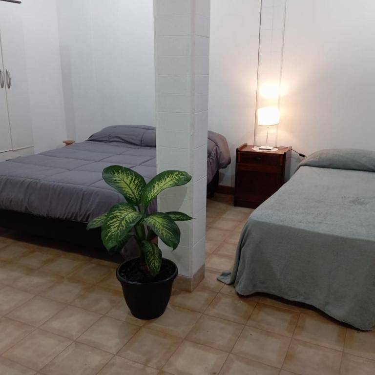 Casa jardin 2 - Apartamento de 1 dormitorio - 3