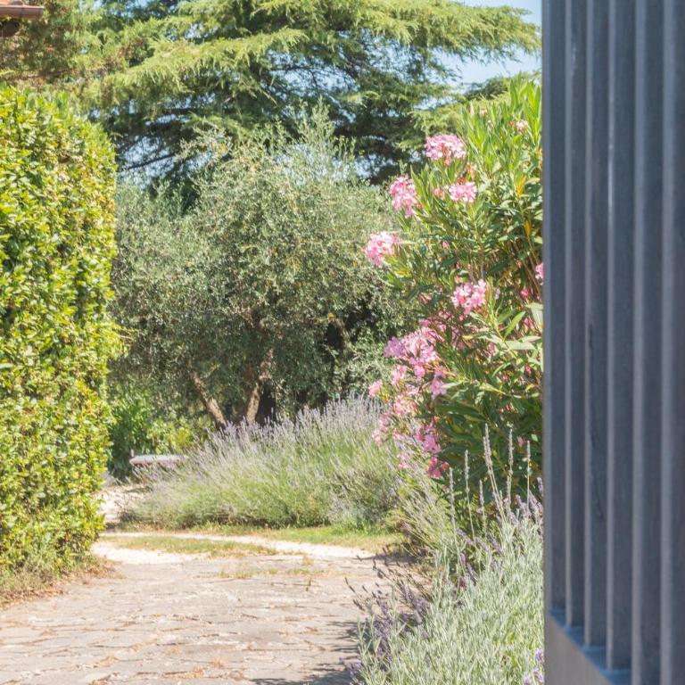 Casaletto Del Pellegrino - Haus mit 4 Schlafzimmern - 2