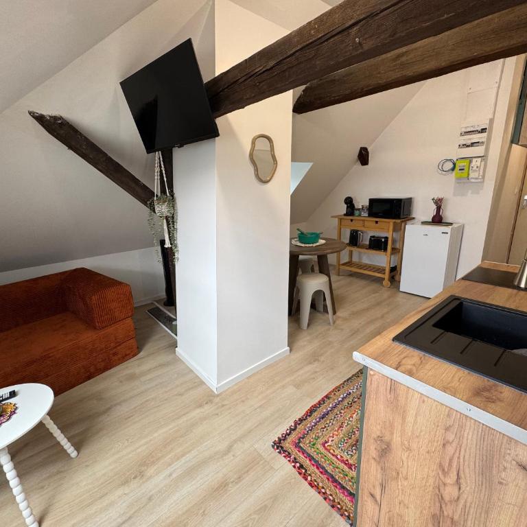 Large cozy and family-friendly studio - Apartment mit 1 Schlafzimmer - 1