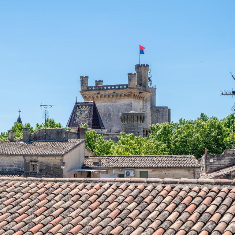 Le Rooftop de "Gretli" YourHostHelper - Appartement 2 Chambres - 9