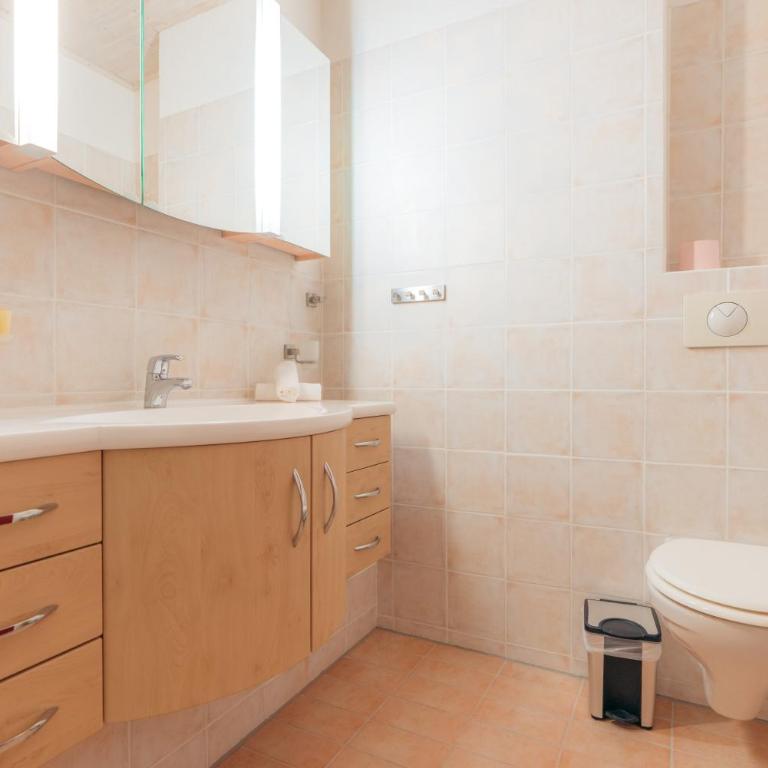 Le Rooftop de "Gretli" YourHostHelper - Appartement 2 Chambres - 12
