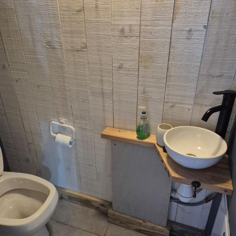 Oporto- SalePatagonia - Apartamento de 1 dormitorio - 20
