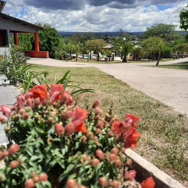 complejo de cabañas al jannha - Apartamento de 2 dormitorios - 6