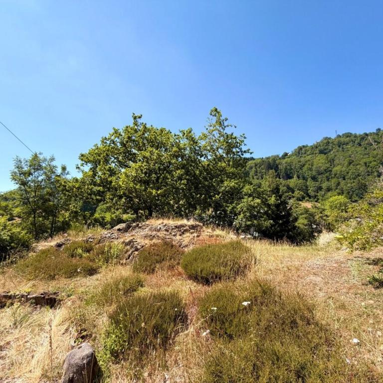 Majestic Forest - refuge paisible - 15 personnes - Chalet - 24