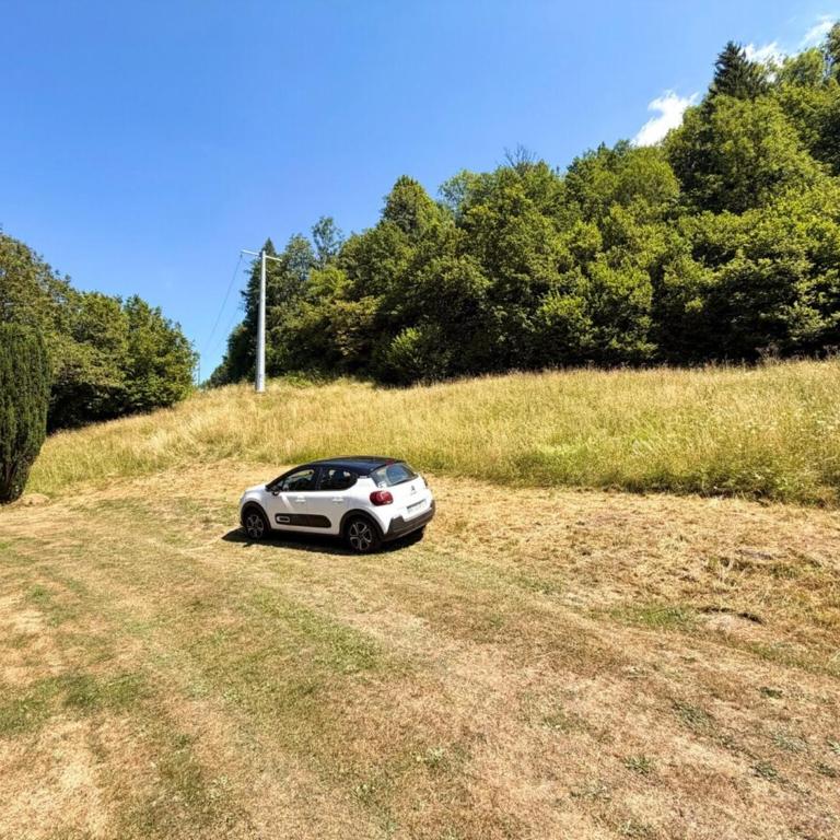 Majestic Forest - refuge paisible - 15 personnes - Chalet - 21