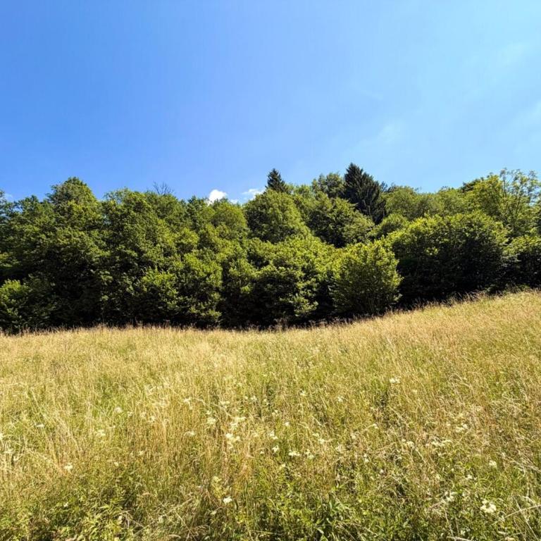 Majestic Forest - refuge paisible - 15 personnes - Chalet - 22