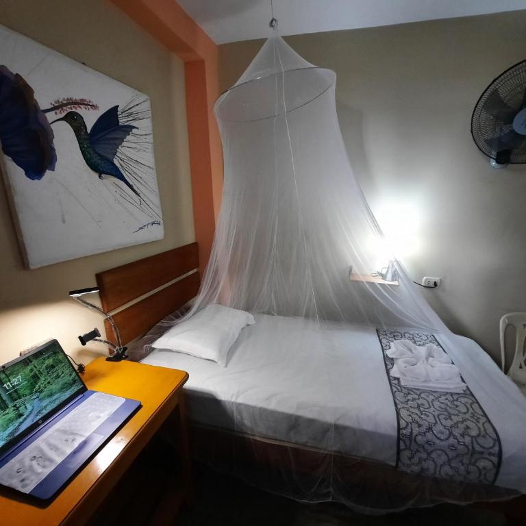 Amazon House Hostel - Economy Single Room - 2
