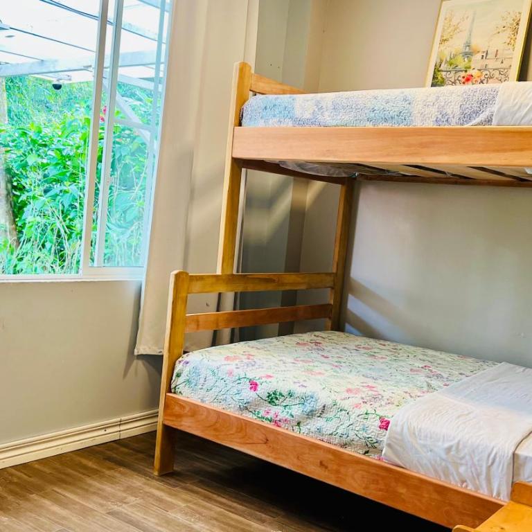 Hermosa casa con aire acondicionado rodeada de aves y naturaleza incluye desayuno - Casa - 27