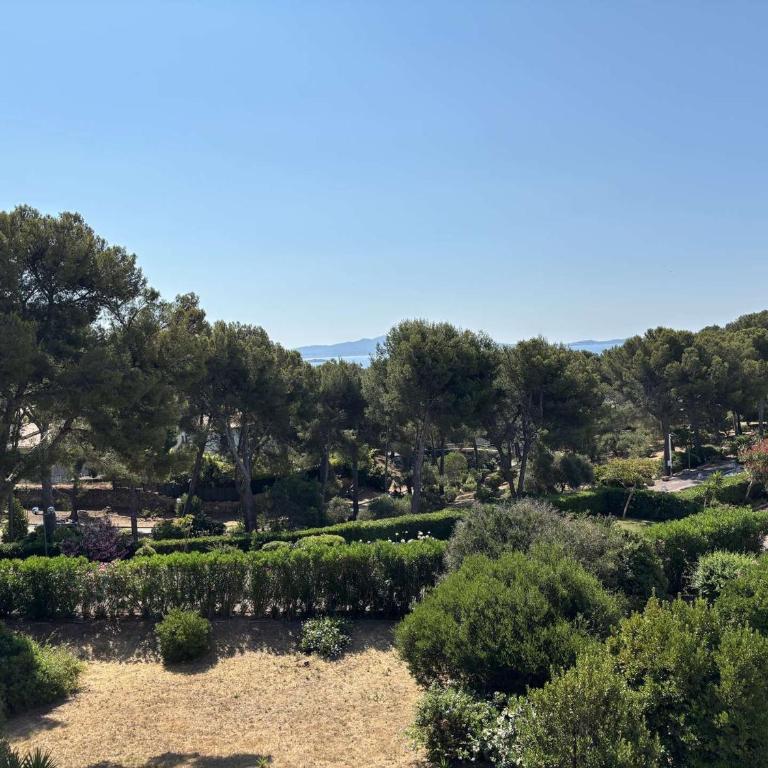 Charmant appartement vue mer - 4 pers. - FR-1-845-45 - Appartement - 5